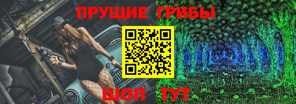 Алейск  Псилоцибиновые грибы Psilocybine cubensis  Галлюциногенные грибы Cubensis  где продают наркотики  Вход с VPN 
