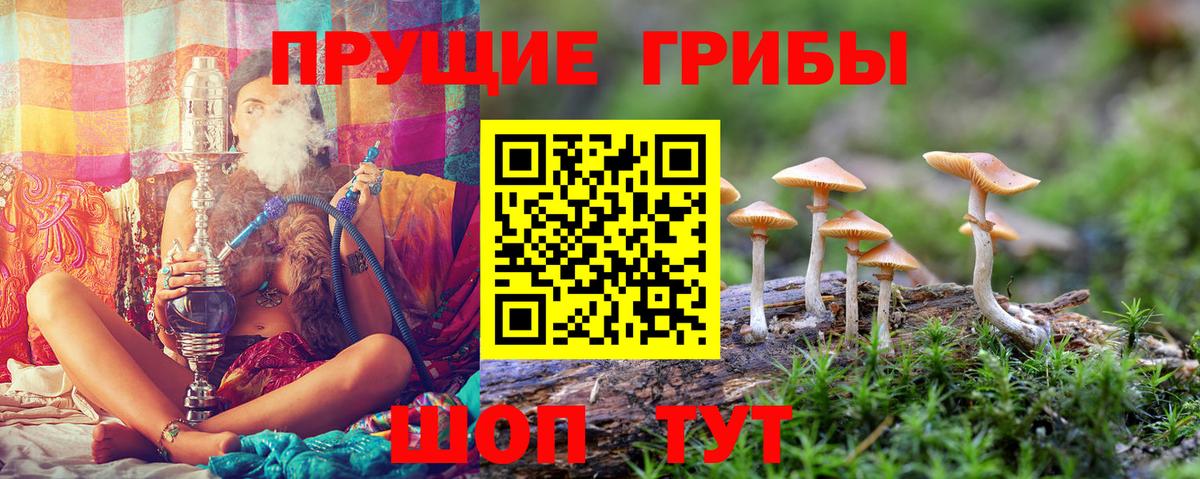 Псилоцибиновые грибы прущие грибы Алейск